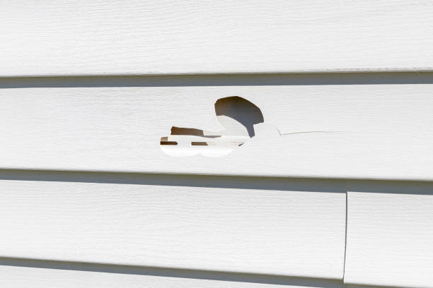 Professional Junk Removal in Ardmore, TN